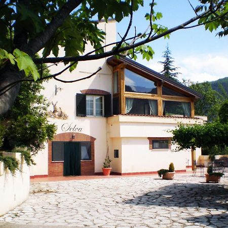 Agriturismo La Selva Rieti Eksteriør billede